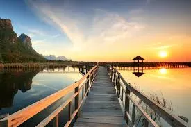 Cercasi per Servizio pulizia 