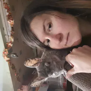 garde pour tous animaux ou promenades