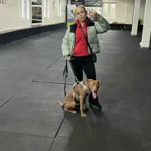 Atsakinga namų tvarkytoja Kaune!