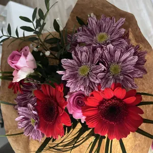 Assistante maternelle sur Illzach Modenheim 