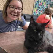 Dogsitting/walking & Catsitting