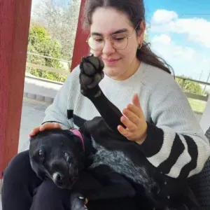 Pet sitting Ragusa e provincia