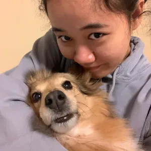 Your Dog's New Best Friend in Brussels🐾- Loving & Reliable