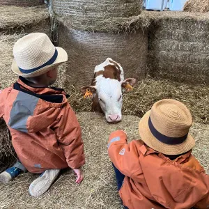 Housekeeper/ Gouvernante à Junglinster