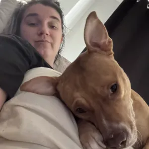 Pet-sitter à Melun! Éclate assurer