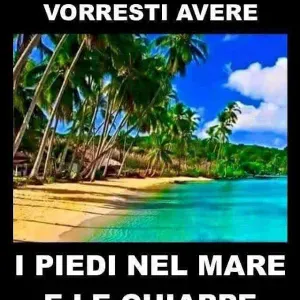 pulizia piccola casa e occasionalmente compere