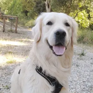 Recherche pour garde régulière.