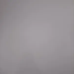 Femme de ménage aide a domicile 