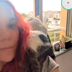Catsitting com administração de medicamentos e soro
