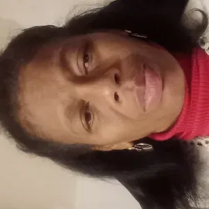 Femme  de.menage Normandie 61100