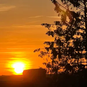 Pet-Sitter à Deville les Rouen