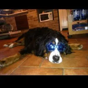 Offerta di lavoro per pulizie a Scandiano