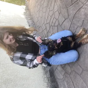 Experienced Pet Sitter – Dogs and Cats