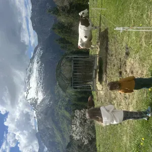 Offre d'emploi pour une baby-sitter à Chavanod