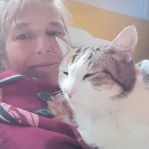 Je cherche une garde  pour mon chat