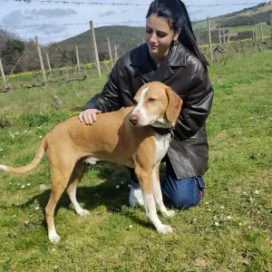 Ripetizioni a Marino (RM) e dintorni