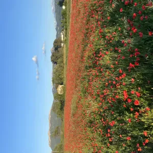 aide à domicile pour personne âge 