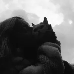 Pet-sitter chiens et chats sur Petit - Caux