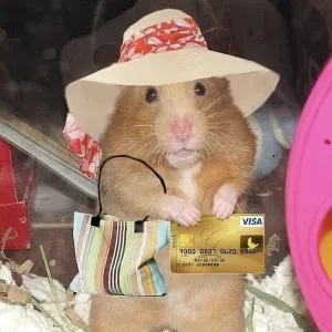 babysitter con poca esperienza, Barletta