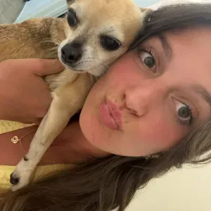 Pet-Sitter dans Charleroi ( Gilly ) 