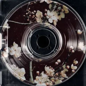 Pet-sitter à Denain ! Garde de chien