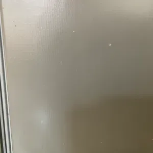 Vitória. Llevar al colegio