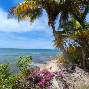 Jeune baby-sitter sur Valognes ! 