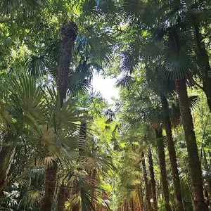 Aide au ménage sur luxeuil et ses alentours 