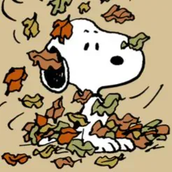 Pet sitting in Vila Nova de Famalicao