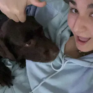 Pet-sitter à Bègles et alentours