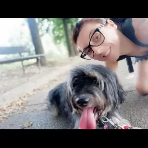 Pet sitting Codogno e limirofi