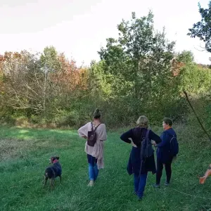 Petsitter dans le Val de marne