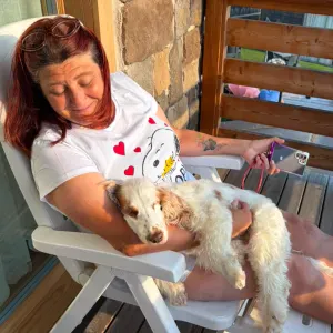 Cerco donna di pulizia