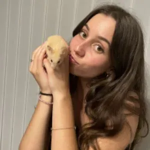 Promenade, garde, visite animaux 