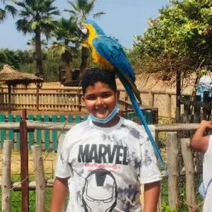 Baby-sitter expérimenté et multilingue