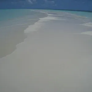 Offerta di lavoro per addetto alla pulizia a Roma