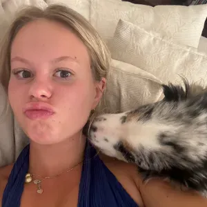 Woluwe saint Lambert garde d'animaux 