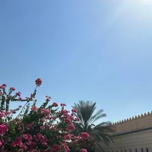 Je cherche une femme de ménage à domicile