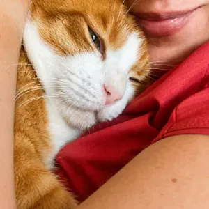 Recherche Petsitter Mephisto / visite domicile