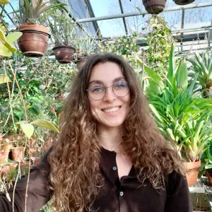 Aide aux devoirs et cours particuliers