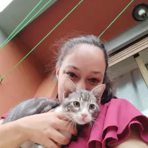 Dog Sitter e babysitter con esperienza a mestre