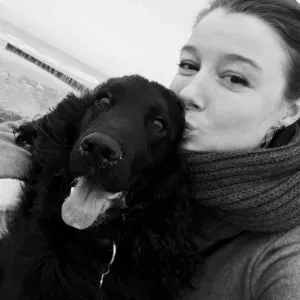 recherche pet sitter
