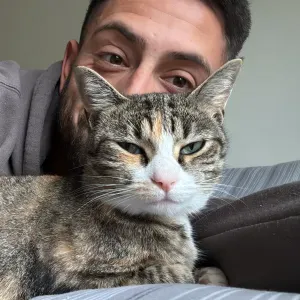 Cuidado y paseo de tu mascota en Biarritz 