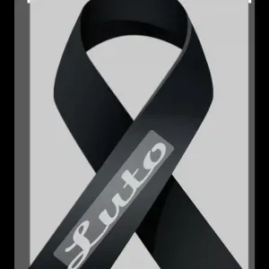 Emprego de governanta em Figueira da Foz