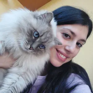 Pet sitting (sopratuttto gatti) Reggio emilia 