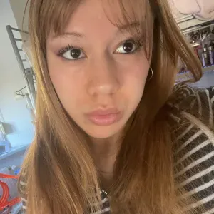 balade de chiens sarreguemines