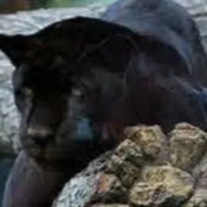 Buscando personas que recoge a mi hijo del colegio