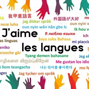 Professeur angl-alld-esp niveau scolaire + vocab commercial