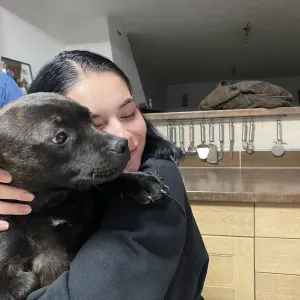 Pet-Sitter avec 20 ans d'expérience à Bourg la Reine !