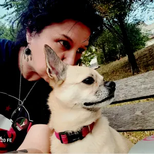 Cuidador de mascotas para contratar en Terrassa